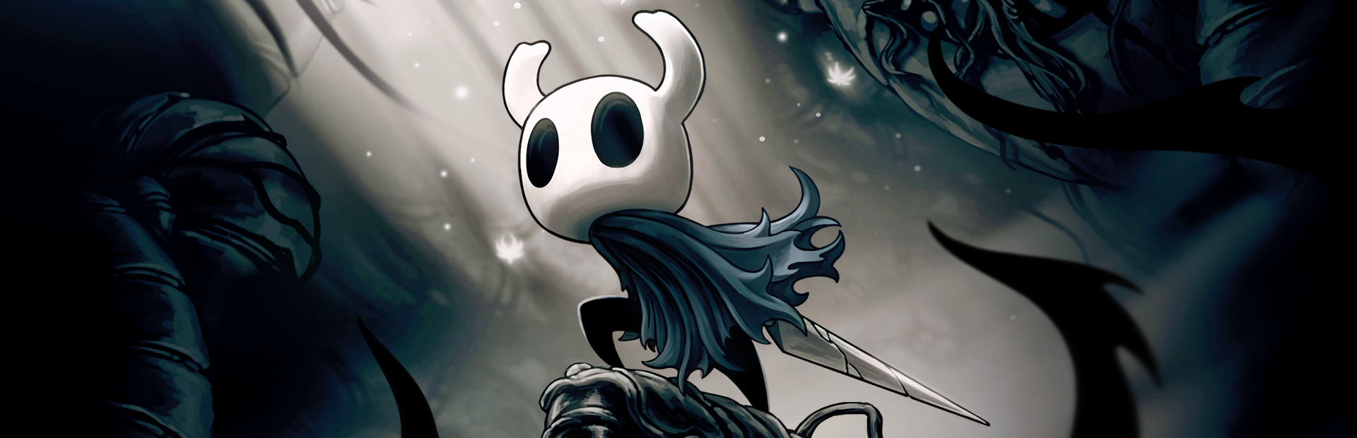 Hollow Knight — поиск тиммейтов для совместной игры