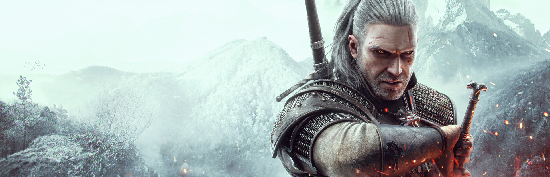 The Witcher 3: Wild Hunt — поиск тиммейтов для совместной игры